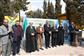 کاشت 200 اصله نهال در سازمان انرژی اتمی ایران